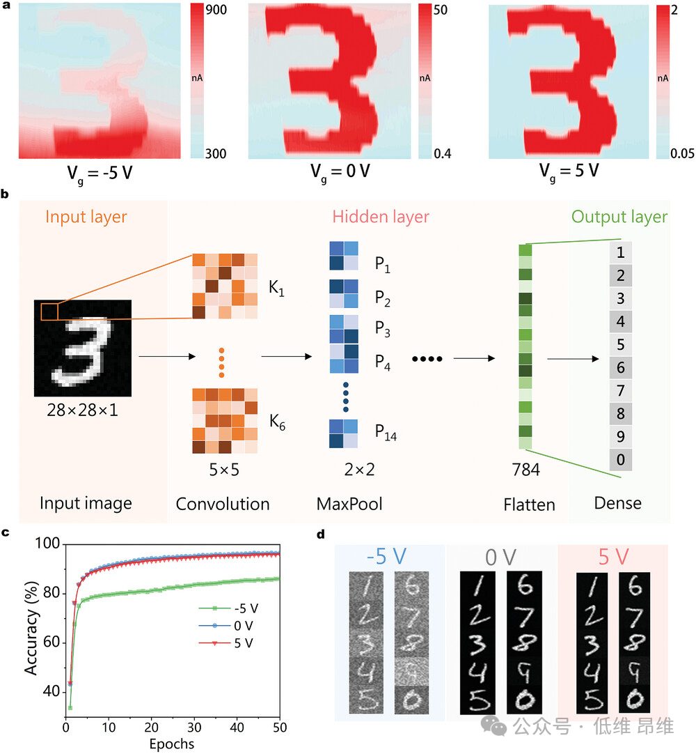 Adv. Optical Mater.：MoTe2/SnSe2異質(zhì)結(jié)中的動態(tài)能帶對齊調(diào)制，用于高性能光電探測器