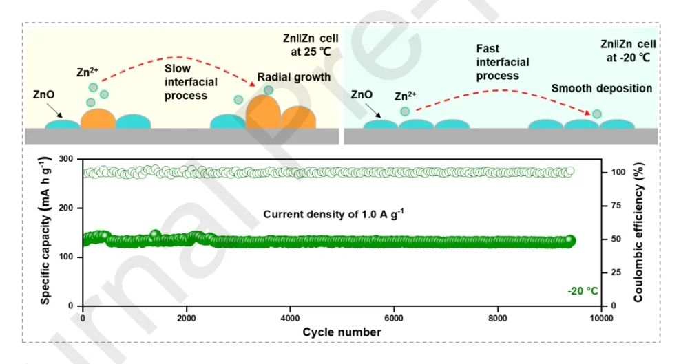 四單位聯(lián)合?JEC：溫度反轉實現低溫鋅離子電池