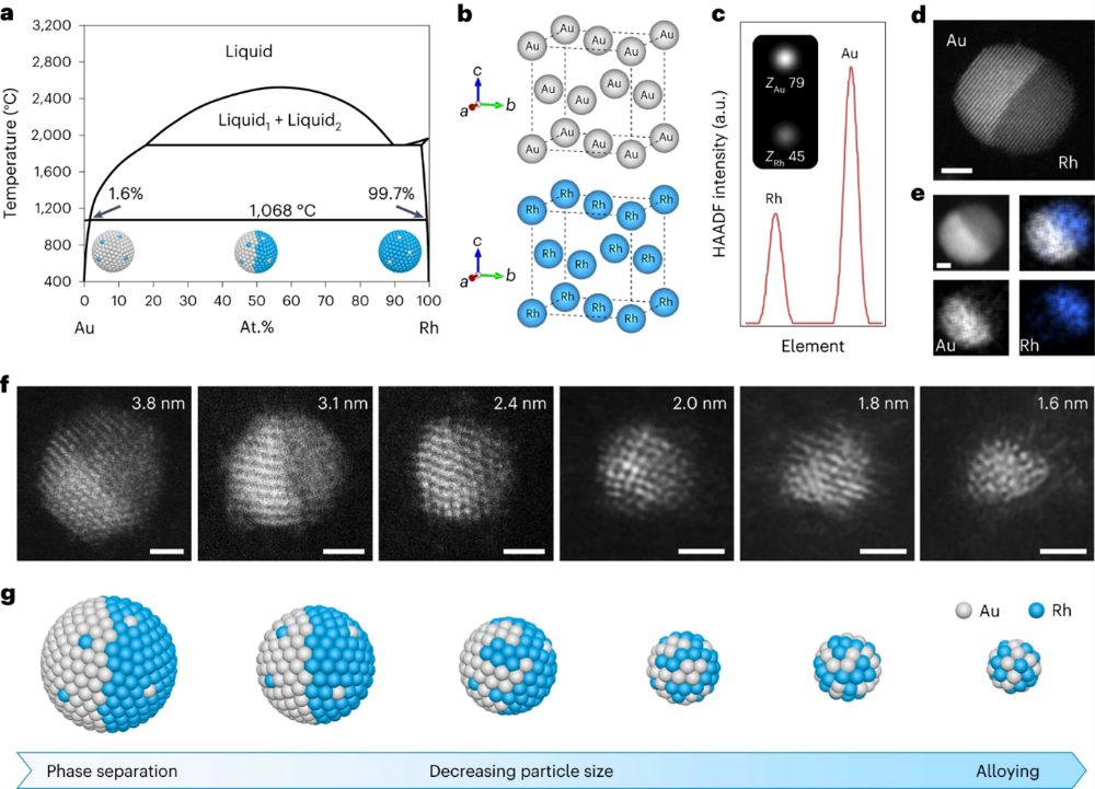 Nat Nanotech：楊培東團(tuán)隊(duì)揭示元素相容性為何在小尺度材料中發(fā)生逆轉(zhuǎn)