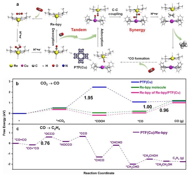 【DFT+實驗】?JACS：Re-bpy/PTF(Cu)協(xié)同催化CO2制備C2H4