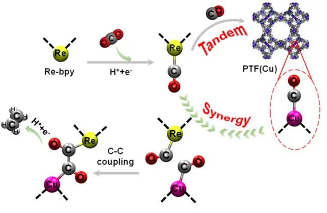 【DFT+實驗】?JACS：Re-bpy/PTF(Cu)協(xié)同催化CO2制備C2H4