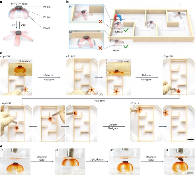 中科大，最新Nature Chemistry！