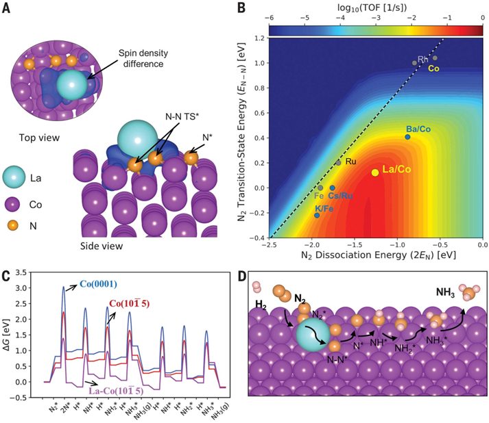 熱催化合成氨，最新Science！