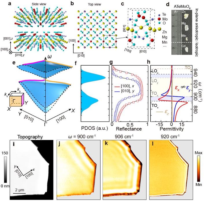 Nat Nanotech：華中科大李培寧/中國科學(xué)院福建物構(gòu)所趙三根等發(fā)展系列各向異性二維材料，實(shí)現(xiàn)定向的光子與聲子耦合傳播