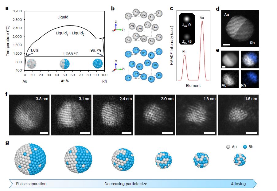 楊培東，最新Nature Nanotechnology！