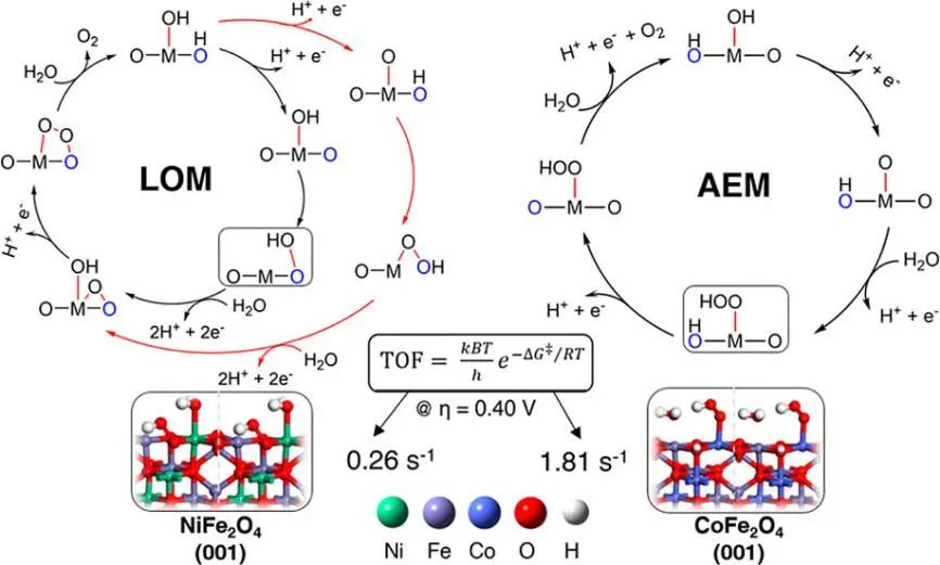 VASP金屬催化計算培訓(xùn)：熱門金屬催化劑、HER、OER/ORR、CO2RR、NO3RR、NRR、d帶中心、自由能、吸附能