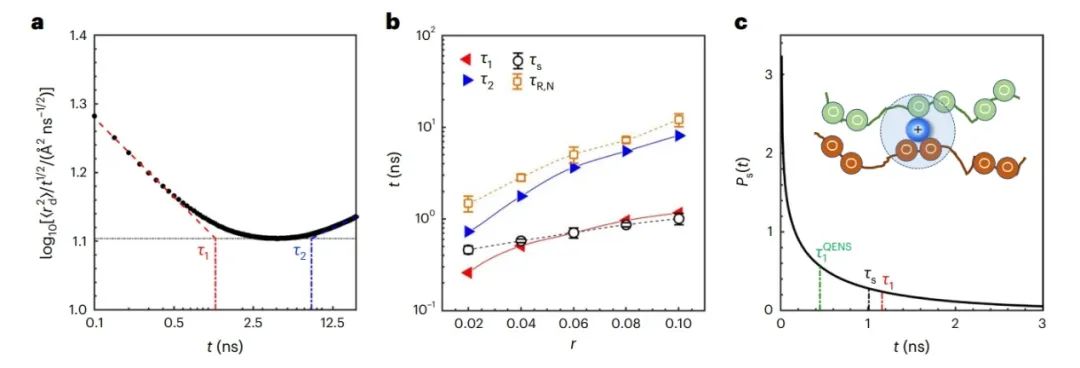 ?加州大學(xué)伯克利分校Nature Materials：鋰電池聚合物電解質(zhì)中的納秒溶劑化動(dòng)力學(xué)