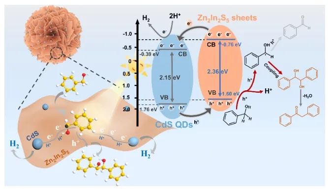 廈大ACS Catal.: CdS量子點修飾Zn2In2S5納米片，高效催化苯甲醇C-C偶聯(lián)與產氫