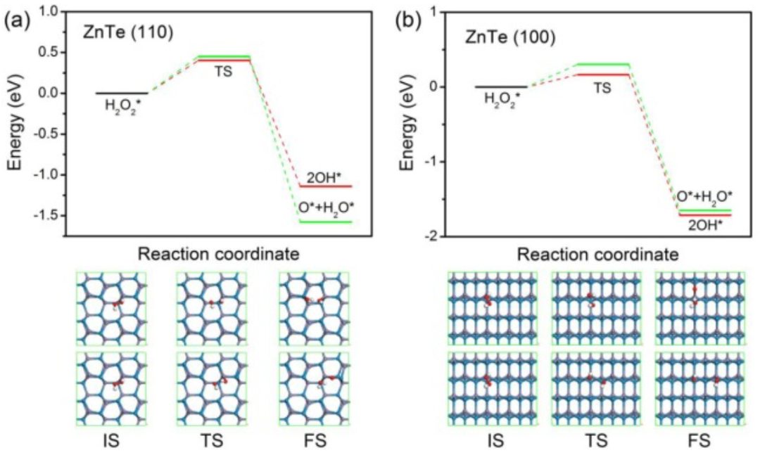 【DFT】Appl. Surf. Sci.：硫族化鋅上H2O2的高效解離和形成