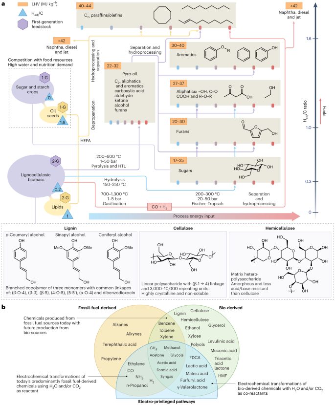 Edward H. Sargent大佬，最新Nature Catalysis！