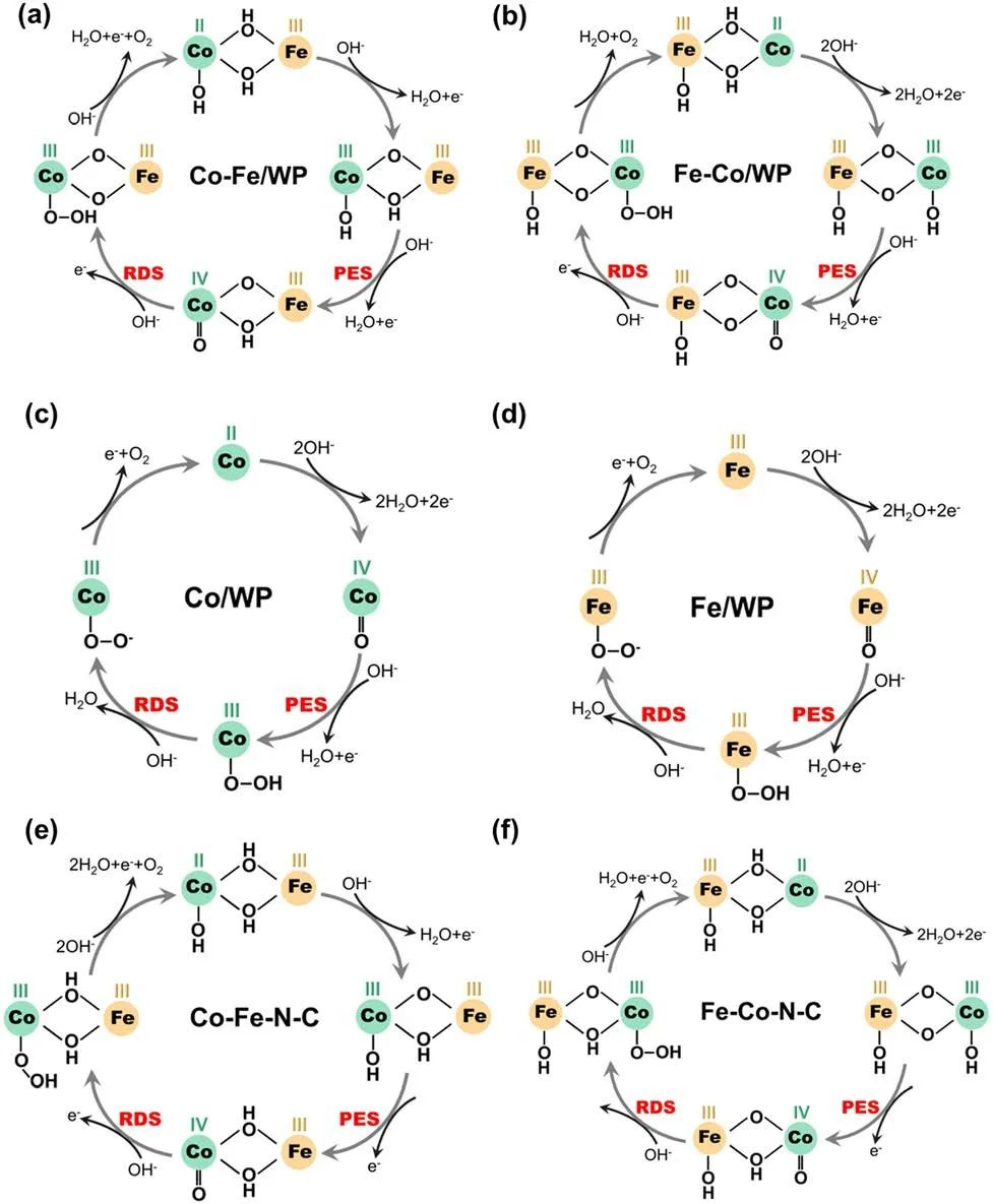 IF=46.2！Chem. Soc. Rev.最新綜述：過渡金屬基電催化劑OER各種機制！