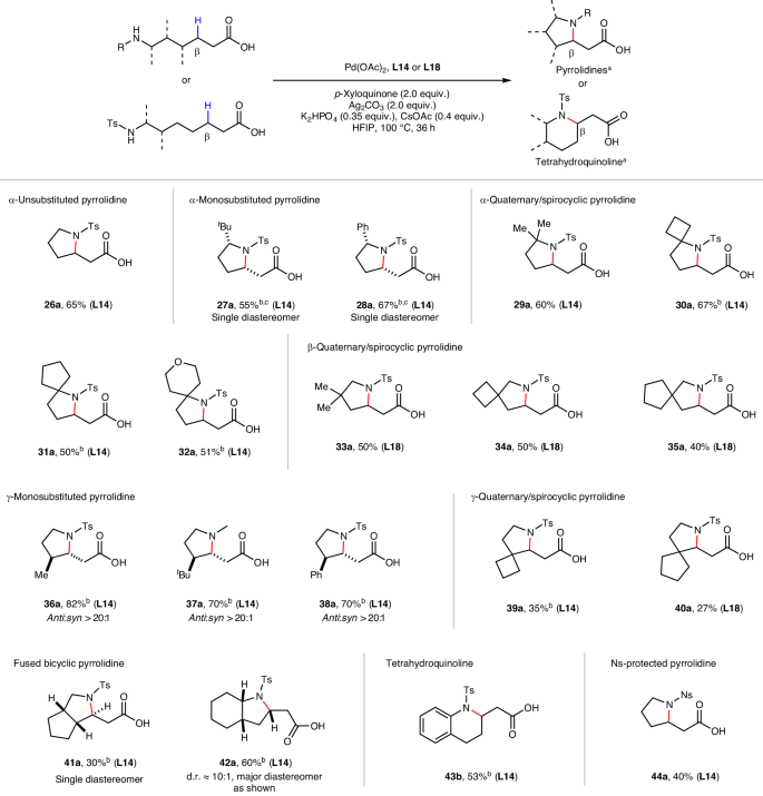 余金權，今日最新Nature Synthesis！