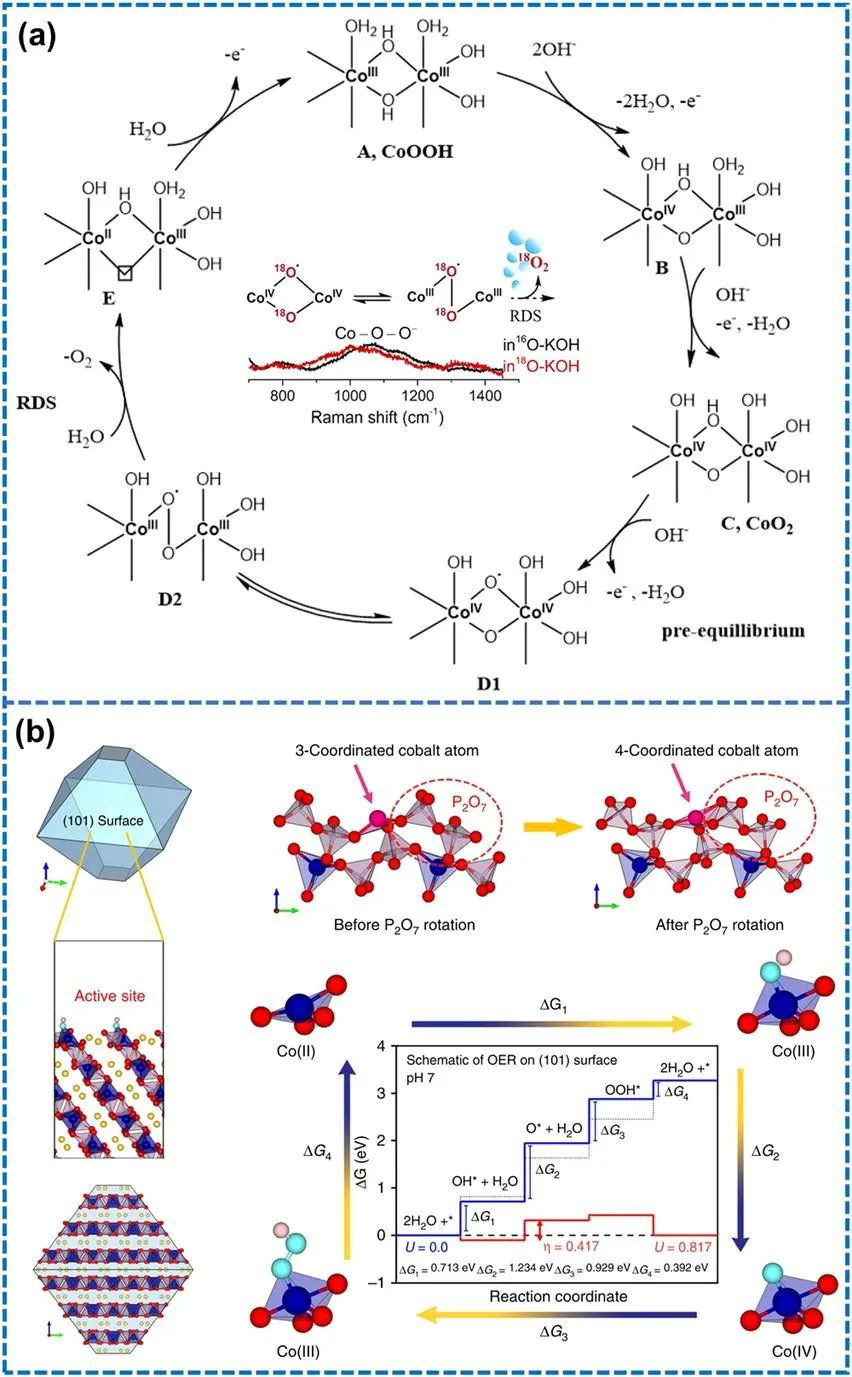 IF=46.2！Chem. Soc. Rev.最新綜述：過渡金屬基電催化劑OER各種機制！