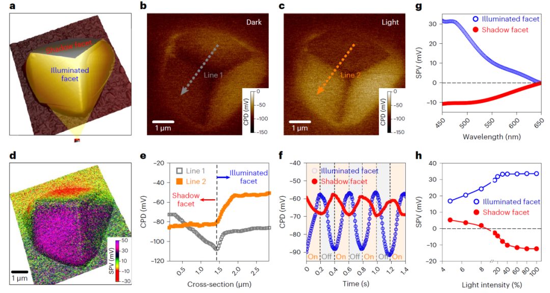 李燦院士團隊最新Nature Protocols：教你如何使用表面光電壓顯微鏡！