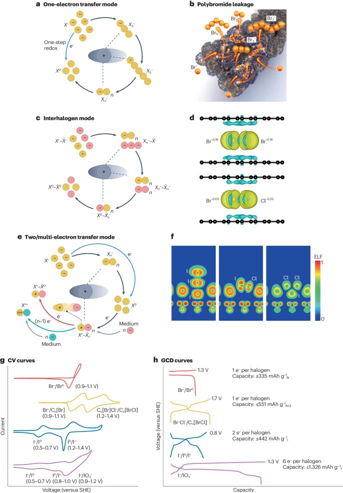 支春義/李新亮，最新Nature Reviews Chemistry！