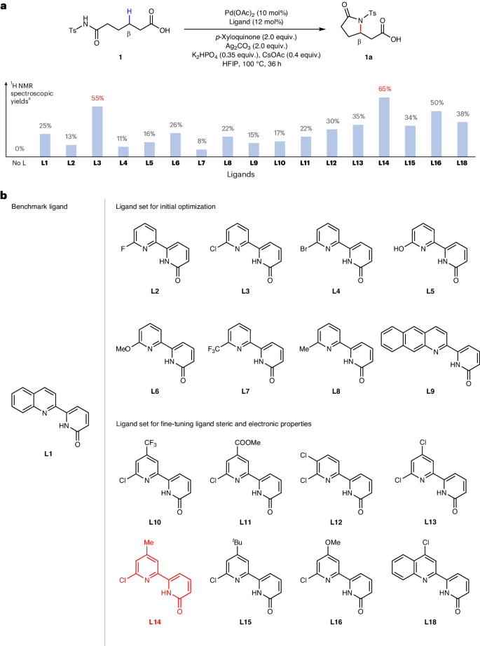 余金權，今日最新Nature Synthesis！