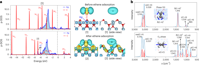 復(fù)旦劉智攀Nature Catalysis：揭示銀催化劑神秘面紗：乙烯高效轉(zhuǎn)化新篇章！