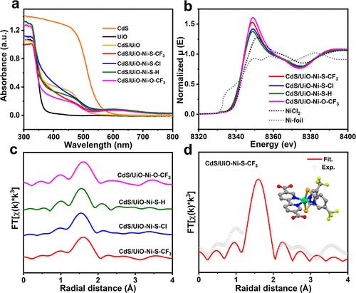 江海龍團(tuán)隊最新JACS：500倍效率提升！