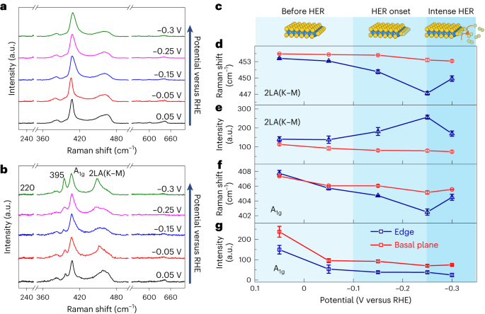 王翔/任斌/譚平恒Nature Catalysis：MoS2電催化析氫反應(yīng)中單個活性位點(diǎn)的可視化結(jié)構(gòu)演變