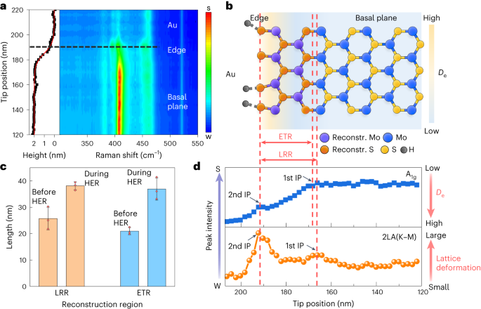 王翔/任斌/譚平恒Nature Catalysis：MoS2電催化析氫反應(yīng)中單個活性位點(diǎn)的可視化結(jié)構(gòu)演變