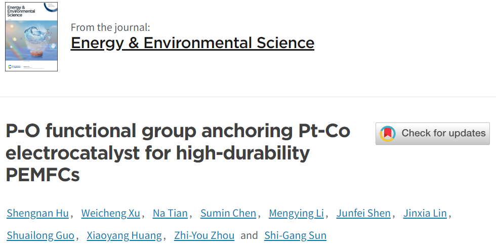 孫世剛院士/田娜教授EES：PtCo/P2.73Ox-KB助力高耐久性PEMFCs