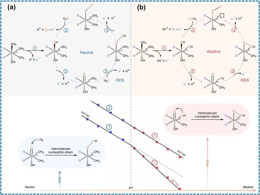 IF=46.2！Chem. Soc. Rev.最新綜述：過渡金屬基電催化劑OER各種機制！