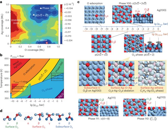 復(fù)旦劉智攀Nature Catalysis：揭示銀催化劑神秘面紗：乙烯高效轉(zhuǎn)化新篇章！