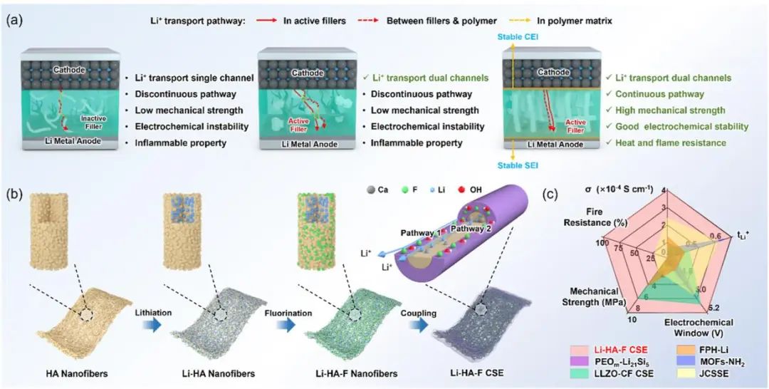 北化工JACS：Li-HA-F基CSEs助力高性能固態(tài)電池