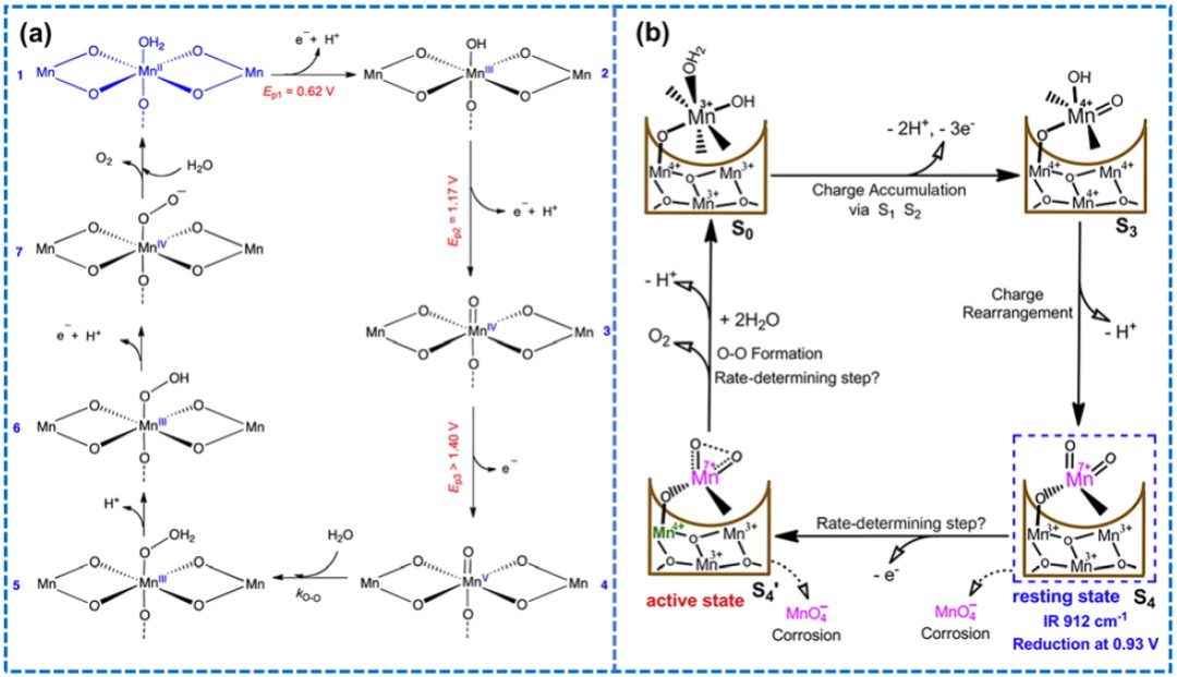 IF=46.2！Chem. Soc. Rev.最新綜述：過渡金屬基電催化劑OER各種機制！