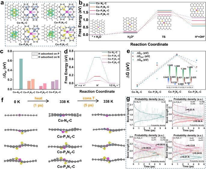 揚(yáng)州大學(xué)，最新Nature子刊！