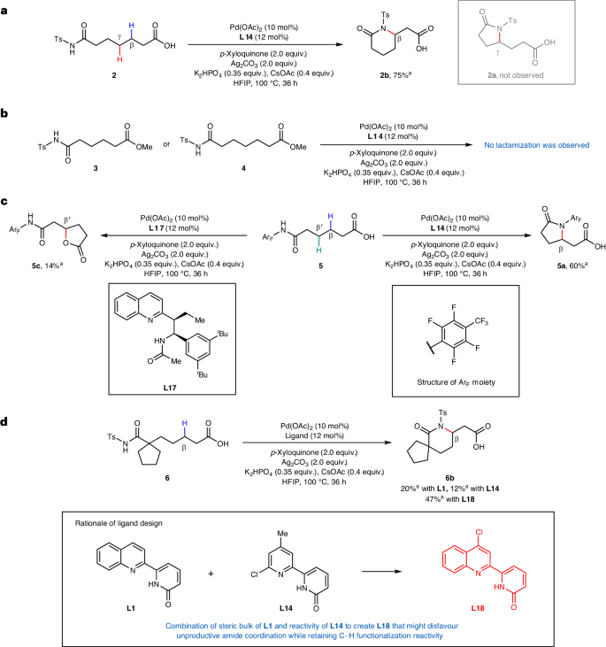 余金權，今日最新Nature Synthesis！