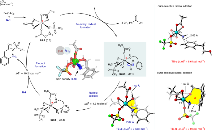 南開(kāi)大學(xué)Nature Catalysis: 鐵-氨基自由基實(shí)現(xiàn)高選擇性芳烴C-H胺化反應(yīng)