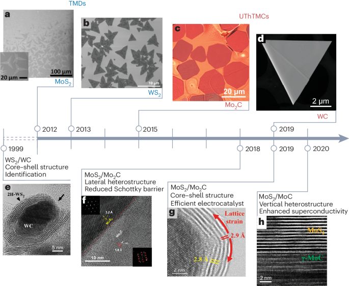 Nature Materials綜述: 揭秘二維材料的新奇跡，金屬碳化物與硫?qū)倩锏漠愘|(zhì)結(jié)構(gòu)革命！