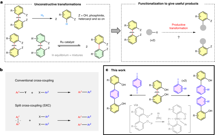 Nature Catalysis: 基于銠催化的非應(yīng)變芳基-芳基鍵活化的分裂交叉偶聯(lián)策略