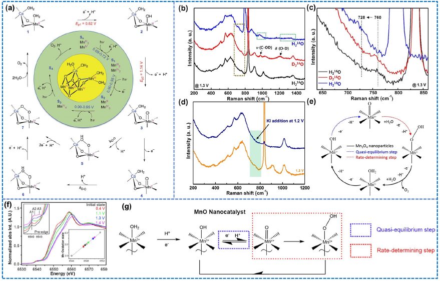 IF=46.2！Chem. Soc. Rev.最新綜述：過渡金屬基電催化劑OER各種機制！