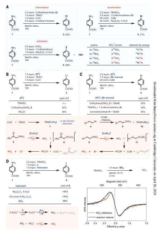 德國馬普所最新Science，破解170年難題！