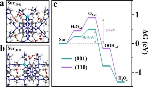 【DFT+實(shí)驗(yàn)】JACS：晶體工程使鈷基金屬有機(jī)骨架成為制備H2O2的高性能電催化劑