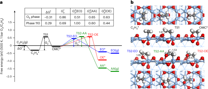 復(fù)旦劉智攀Nature Catalysis：揭示銀催化劑神秘面紗：乙烯高效轉(zhuǎn)化新篇章！