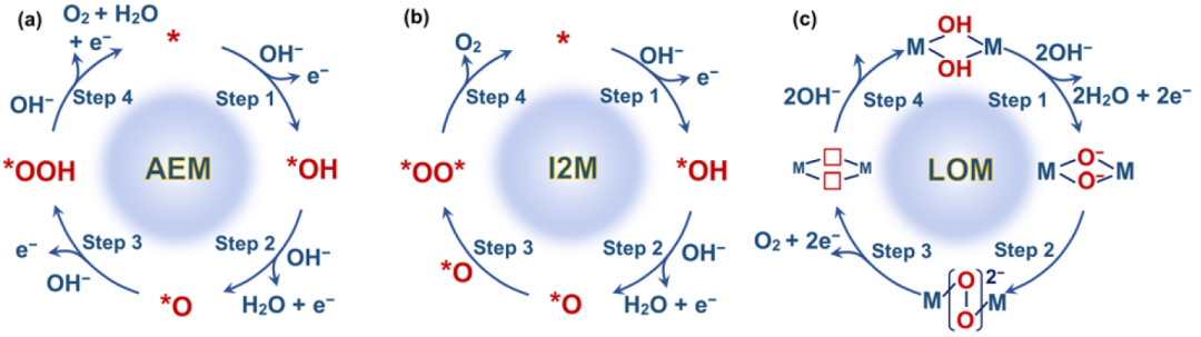 IF=46.2！Chem. Soc. Rev.最新綜述：過渡金屬基電催化劑OER各種機制！