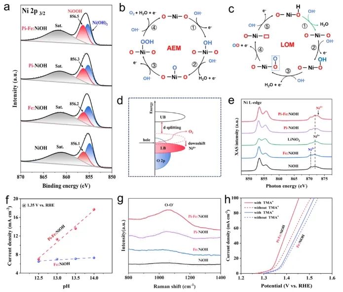 ?南昌大學(xué)ACS Catal.：磷酸鹽和Fe3+共修飾Ni(OH)2/NiOOH，有效改善OER活性和穩(wěn)定性