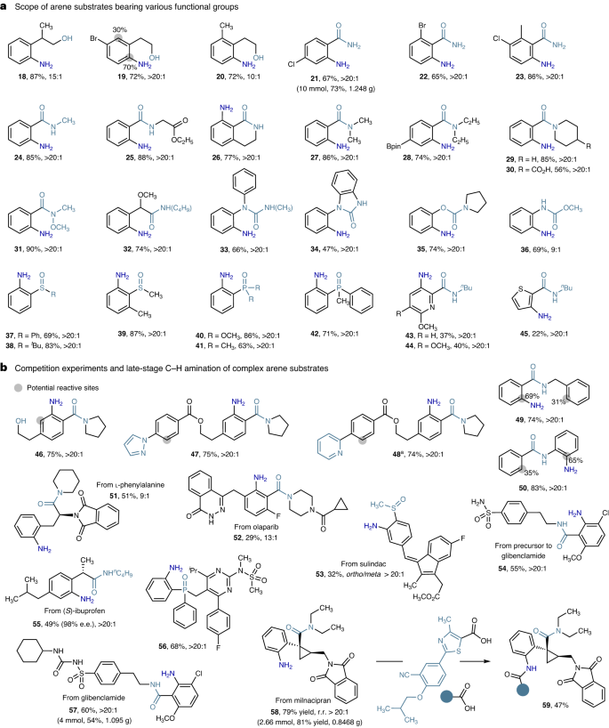 南開(kāi)大學(xué)Nature Catalysis: 鐵-氨基自由基實(shí)現(xiàn)高選擇性芳烴C-H胺化反應(yīng)