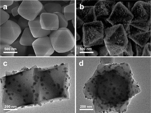 江海龍團(tuán)隊最新JACS：500倍效率提升！