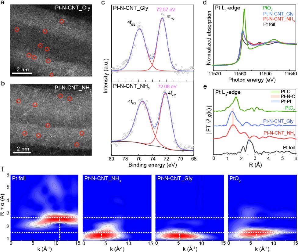 上海交大，最新JACS！