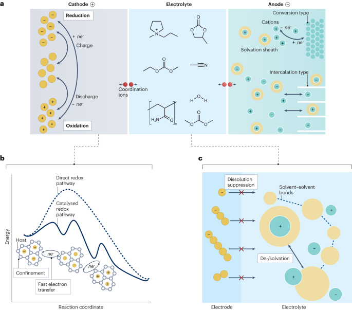 支春義/李新亮，最新Nature Reviews Chemistry！