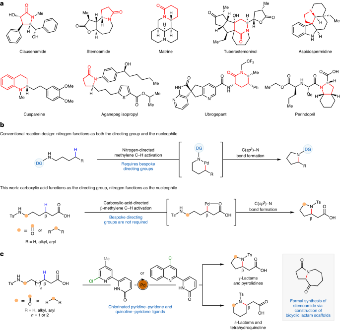 余金權，今日最新Nature Synthesis！