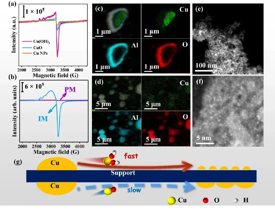 大連化物所傅強團隊，最新Nature子刊！