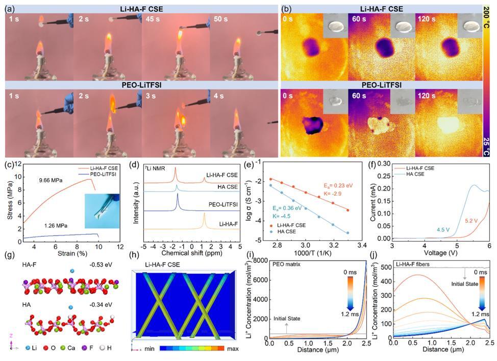北化工JACS：Li-HA-F基CSEs助力高性能固態(tài)電池