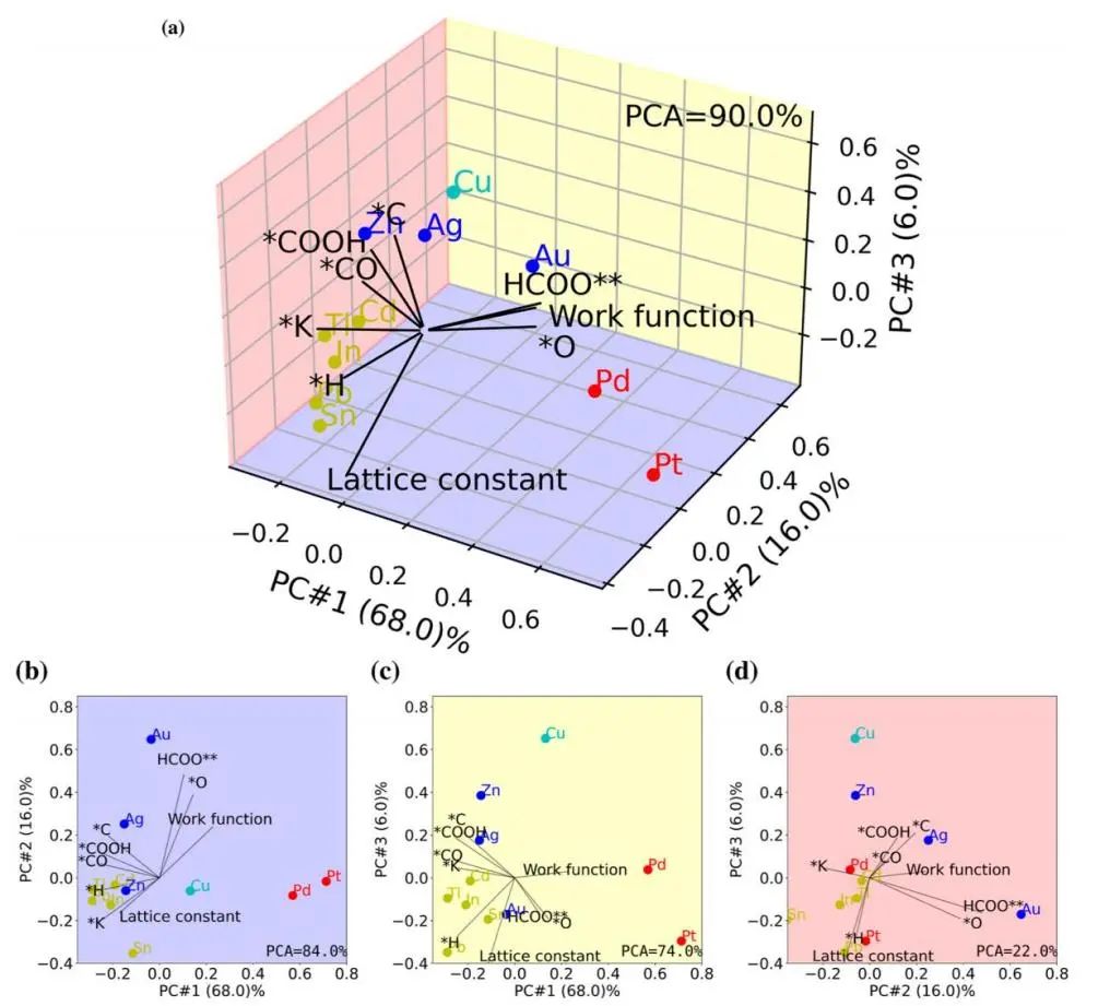 ACS Catalysis：電化學(xué)CO2RR中選擇性生成CO與HCOOH的新見(jiàn)解