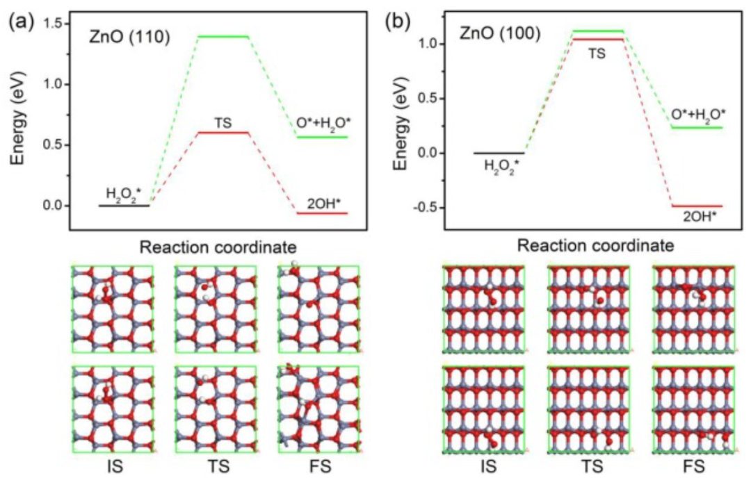 【DFT】Appl. Surf. Sci.：硫族化鋅上H2O2的高效解離和形成