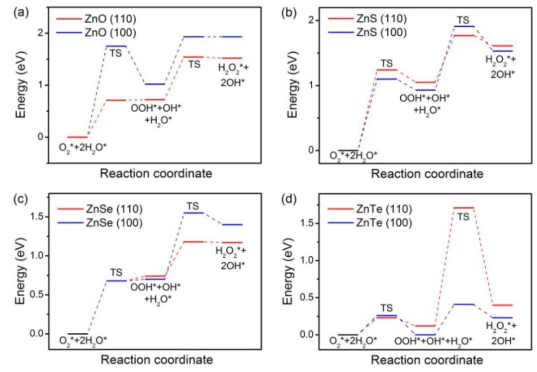 【DFT】Appl. Surf. Sci.：硫族化鋅上H2O2的高效解離和形成